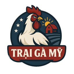 Trại Gà Mỹ